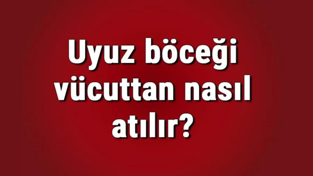 uyuz hastalığı ve kullanılacak ilaçlar
uyuz böceği vücuttan nasıl temizlenir